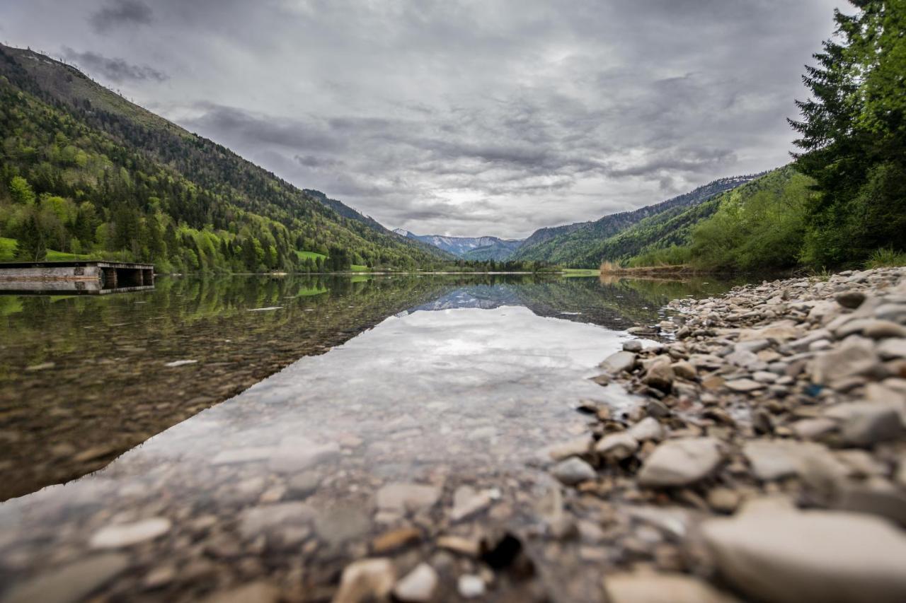Hotel Fischerwirt Natur Waldspa Faistenau Dış mekan fotoğraf