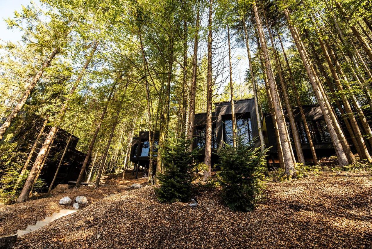 Hotel Fischerwirt Natur Waldspa Faistenau Dış mekan fotoğraf