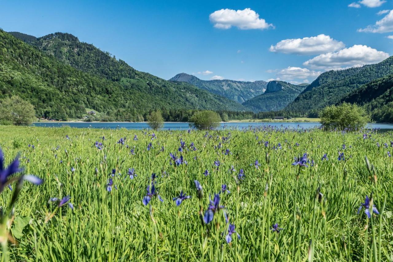 Hotel Fischerwirt Natur Waldspa Faistenau Dış mekan fotoğraf