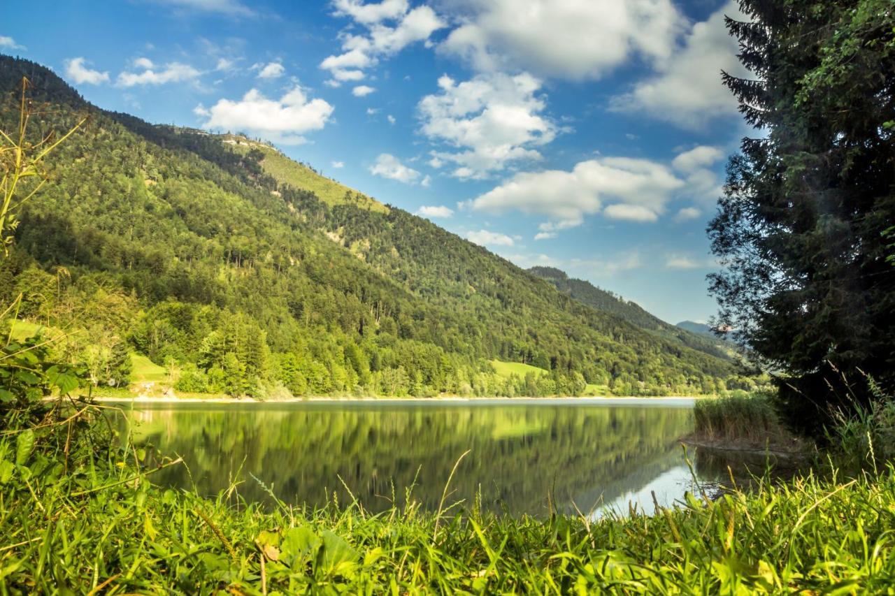 Hotel Fischerwirt Natur Waldspa Faistenau Dış mekan fotoğraf