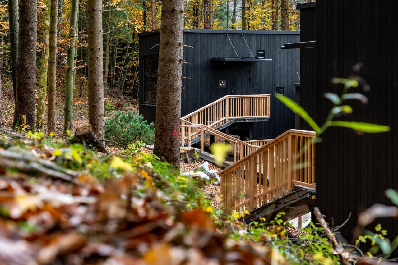 Hotel Fischerwirt Natur Waldspa Faistenau Dış mekan fotoğraf